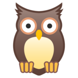 owl